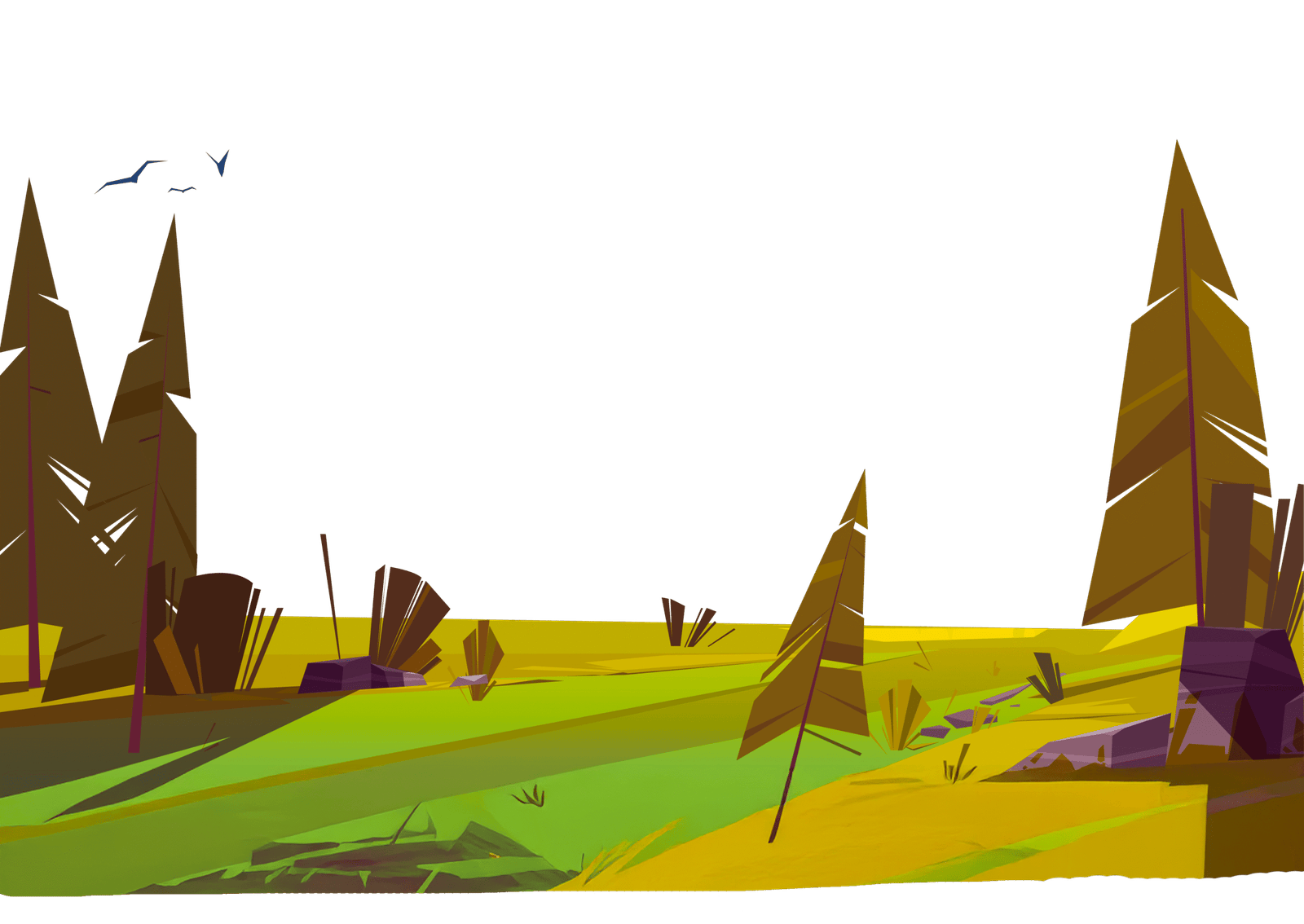 Création site internet